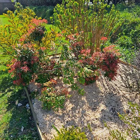 Hébergement de vacances Résidence Les Hauts Du Brouennou *